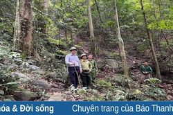 Hạt kiểm lâm huyện Quan Sơn xử phạt 34 trường hợp vi phạm