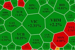 Dàn 'trọng pháo' khai hỏa, VN-Index nhẹ nhàng vượt đỉnh lịch sử