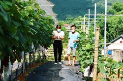 Trái ngọt Tân Sơn