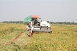 Nhiều giải pháp đưa tốc độ tăng trưởng ngành nông nghiệp đạt cao