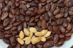 Đời sống Đời sống Chọn hạt dưa an toàn