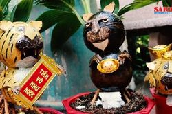 'Hổ dừa' uy nghi và thánh thiện