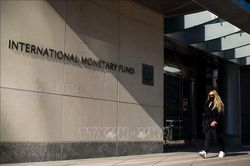 IMF hoãn công bố báo cáo Triển vọng Kinh tế Thế giới