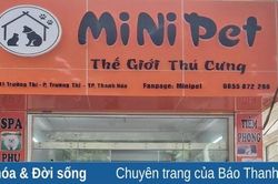 Nở rộ dịch vụ làm đẹp, chăm sóc thú cưng vào dịp cuối năm