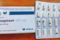 Đề xuất cấp giấy đăng ký lưu hành thuốc được chỉ định điều trị Covid-19 tại Việt Nam
