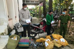 Đạ Tẻh: Cảnh báo hành vi bắt trộm mèo