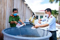 Bạc Liêu: Phát hiện gần 5,3 triệu con tôm giống chưa qua kiểm dịch