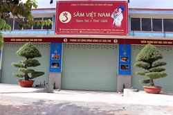 Kon Tum vào cuộc tìm diện tích sâm Ngọc Linh của Công ty sâm Việt Nam