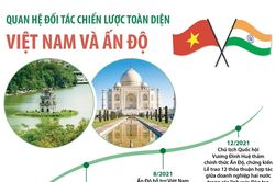 Quan hệ Đối tác chiến lược toàn diện Việt Nam và Ấn Độ