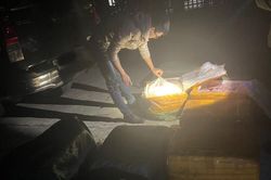 Thu giữ gần 500kg nầm lợn không rõ nguồn gốc, xuất xứ
