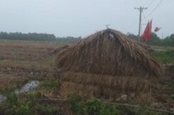 5 người thương vong sau chầu nhậu tại chòi canh đất rừng
