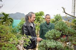 Nhà vườn sinh vật cảnh tiêu biểu trên phố núi