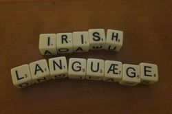 Tiếng Ireland trở thành một trong các ngôn ngữ làm việc của EU