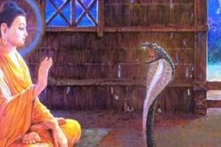Luôn bàn luận khuyết điểm người khác khiến bạn tự hủy vận mệnh của mình
