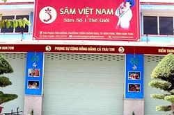 Tin mới vụ công ty tuyên bố có hàng chục ha sâm Ngọc Linh ở Kon Tum