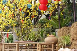 Chi 5 triệu sắm Tết chẳng thiếu thứ gì: Cả nhà đều vui
