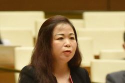 ĐBQH băn khoăn khi Trung Nam Group được xây dựng đường dây truyền tải điện