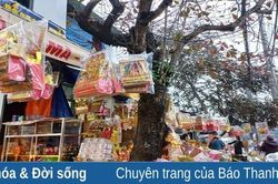 Thị trường đồ lễ ông Công, ông Táo mẫu mã đẹp, giá cả bình ổn