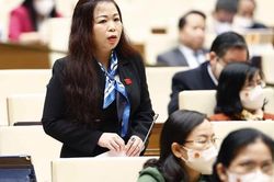 Cần thận trọng khi cho tư nhân tham gia truyền tải điện, tránh hệ lụy về sau
