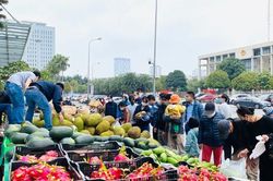 Giải cứu thanh long, bộ Công thương gửi công văn đề nghị Bộ Nông nghiệp và các tỉnh phối hợp