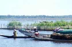Kinh tế Tái diễn nạn khai thác hủy diệt thủy sản