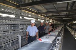 Thị trường xi măng năm 2022: Áp lực và kỳ vọng