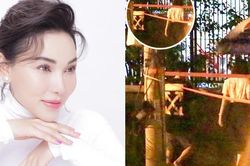 Quỳnh Thư bức xúc vì bị 'gán ghép' đến chuyện nhà Diệp Lâm Anh ly thân thiếu gia