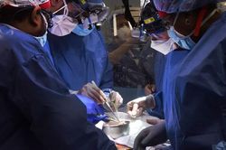 Mỹ thực hiện ca ghép tim lợn chỉnh sửa gien vào cơ thể người