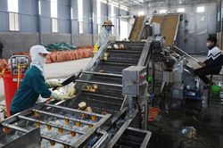 Tín hiệu vui cho sản xuất nông nghiệp Bát Xát