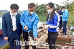 Tất cả là thanh xuân