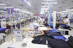 Nguyên nhân nào khiến số lượng các đơn vị hành chính ngày càng giảm?