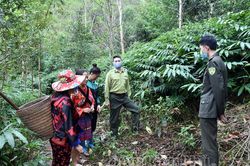 Đảm bảo chính xác diện tích rừng để chi trả tiền DVMTR