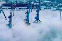 Bộ ảnh tuyệt đẹp vùng biển đang 'sục sôi', người xem bị hớp hồn
