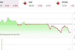 Nhà đầu tư tháo chạy, VN-Index tuột mốc 1.500 điểm