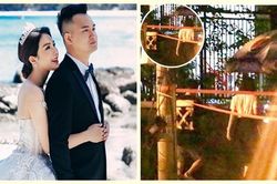 'Tiểu tam' phá hôn nhân của Diệp Lâm Anh thế nào gây bức xúc?