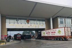 Sau ách tắc tại cửa khâu Kim Thành, lô hàng đầu tiên gần 400 tấn hoa quả đã được xuất sang Trung Quốc