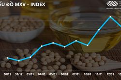 Bản tin MXV 14/1: Giá kim loại cơ bản giảm sâu hơn giá kim loại quý