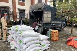 Chính trị - Xã hội Pháp luật - Cuộc sống Phát hiện xe ô tô vận chuyển hàng hóa không có hóa đơn, chứng từ