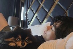 Những lần ARMY phát hờn với cún Yeontan của V BTS