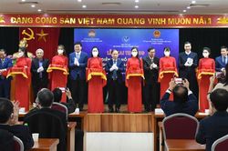 Hỗ trợ kiều bào tăng cường đầu tư về quê hương