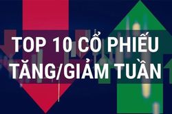 Nhóm cổ phiếu bất động sản xì hơi