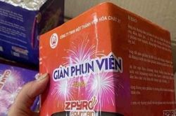 Găm pháo Z121, người bán nhất quyết không giảm giá