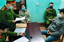 Bắt Giám đốc Công ty nông nghiệp Hòa Bình vì hủy hoại rừng