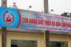 Đặc điểm các loại pháo hoa người dân được phép sử dụng trong dịp Tết