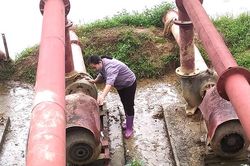 Tập trung lấy nước phục vụ sản xuất vụ Chiêm Xuân