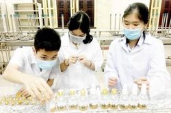 Giáo dục Tin tức giáo dục Học kỳ linh hoạt