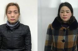 Khởi tố chủ nhà nghỉ Phương Lan về hành vi 'Chứa mại dâm'
