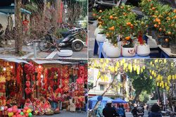 Chợ hoa Hàng Lược rộn ràng đón Tết Nhâm Dần 2022