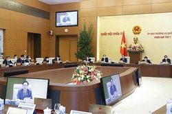 Bố trí vốn phải tập trung, không dàn trải