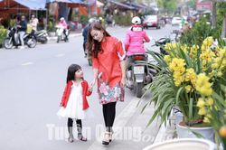 Chợ hoa ngày Tết
